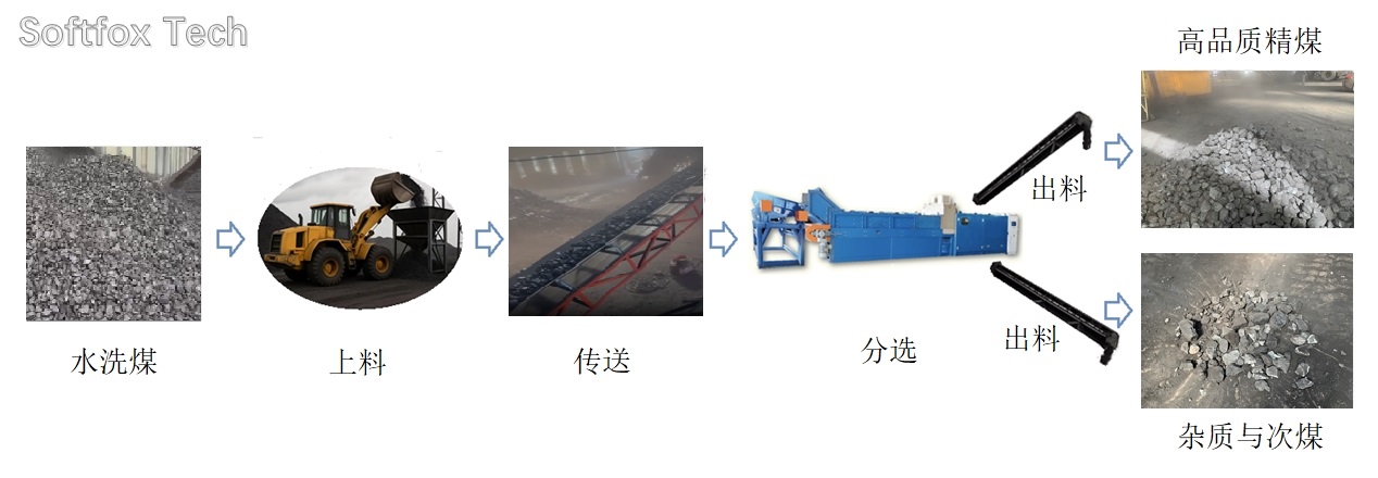 Softfox process flow for sorting clean coal