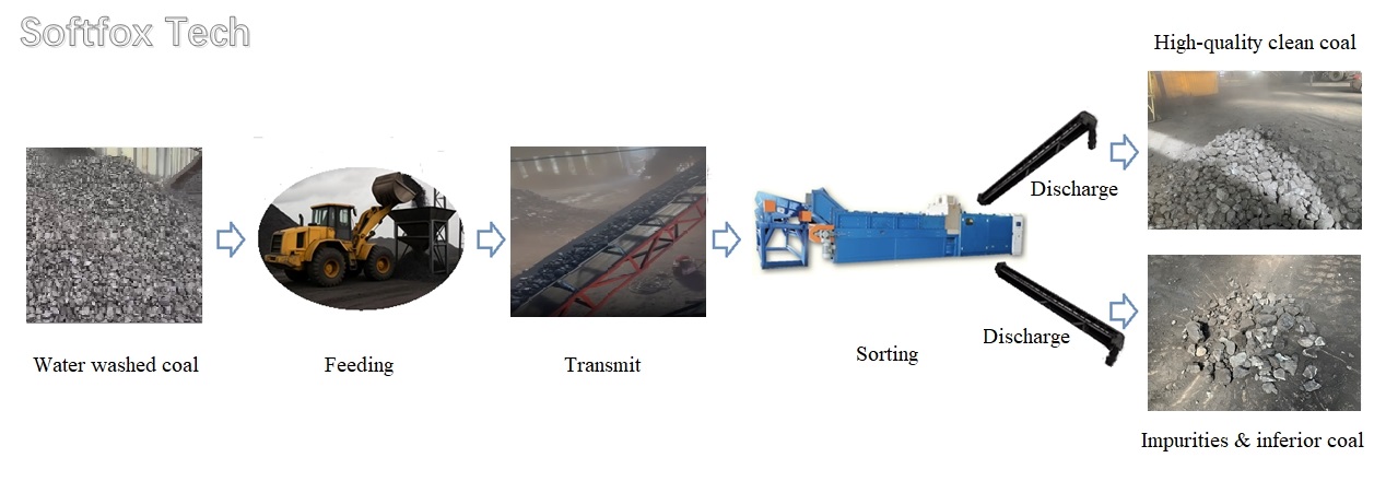Softfox process flow for sorting clean coal