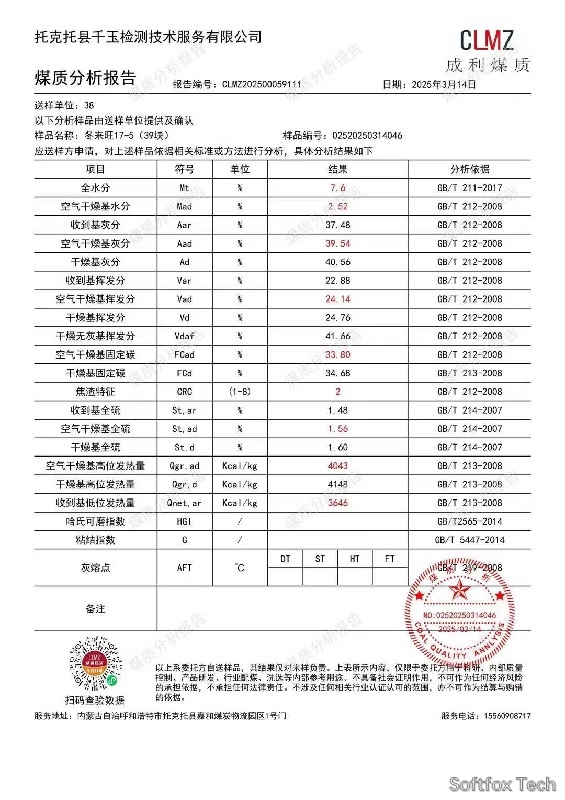 Raw coal test report
