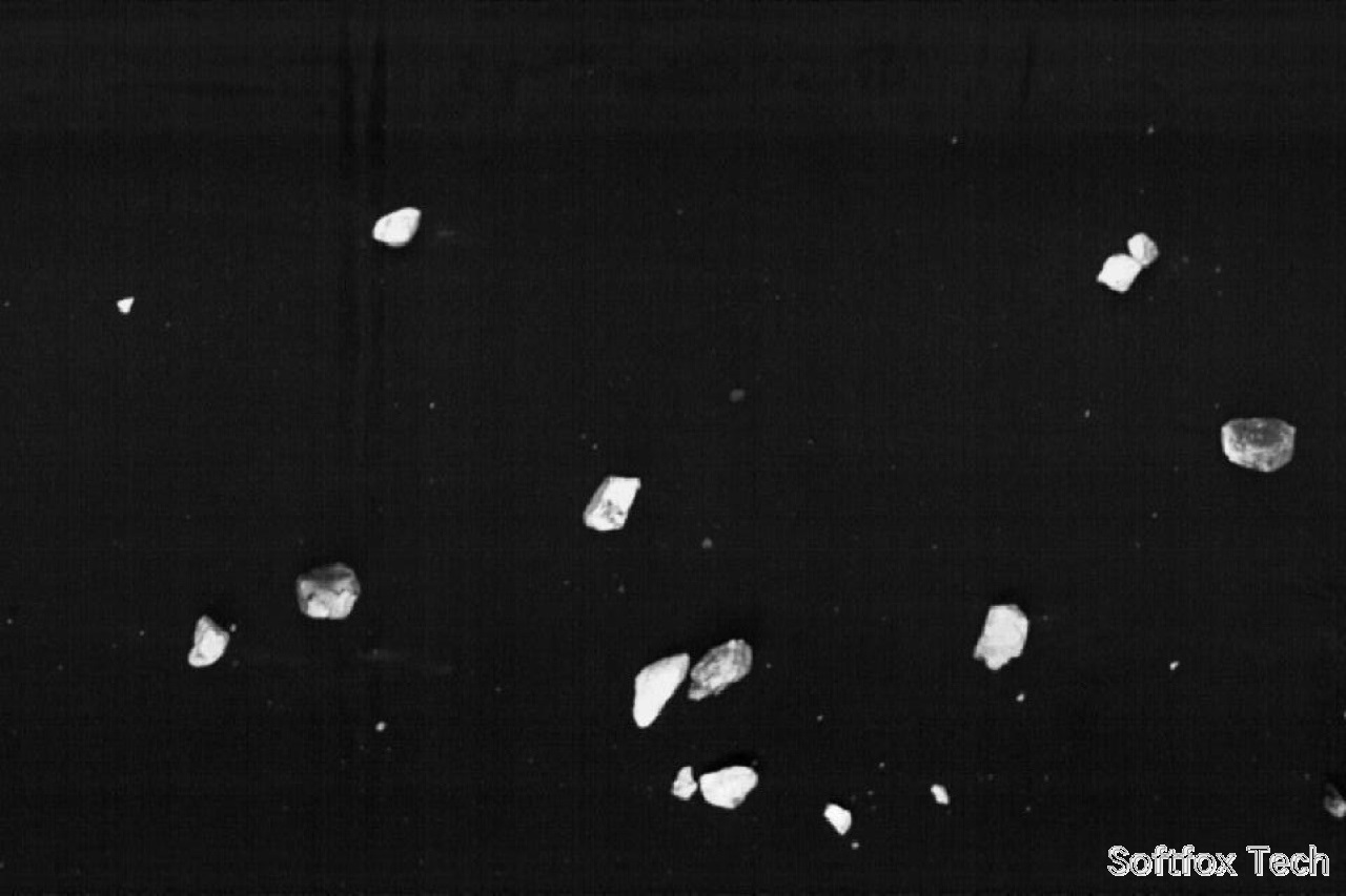 Softfox DRXV X-ray and camera image