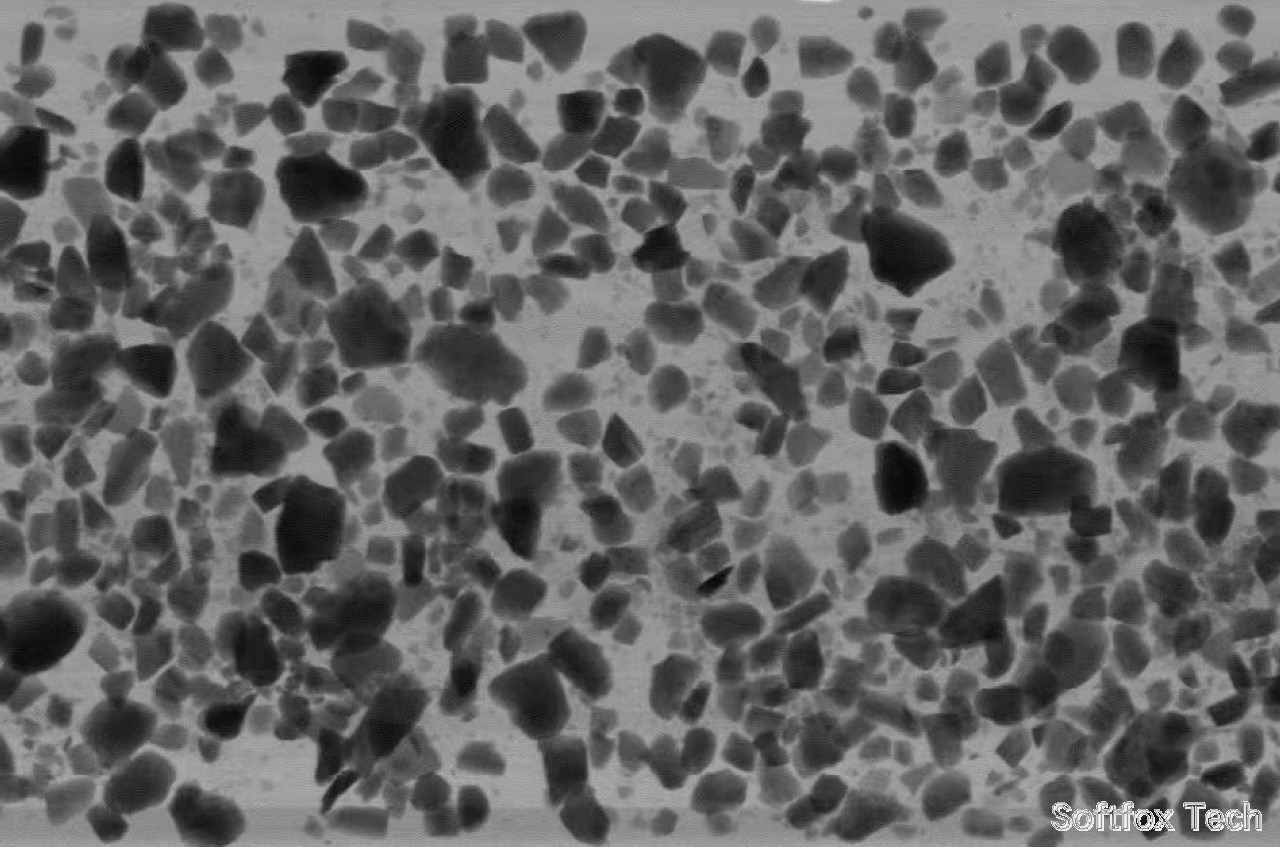 Softfox DRX X-ray image